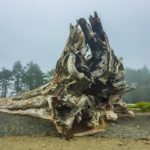 D11EE87E-963A-4E6F-AABD-5AE1DA4F56CD