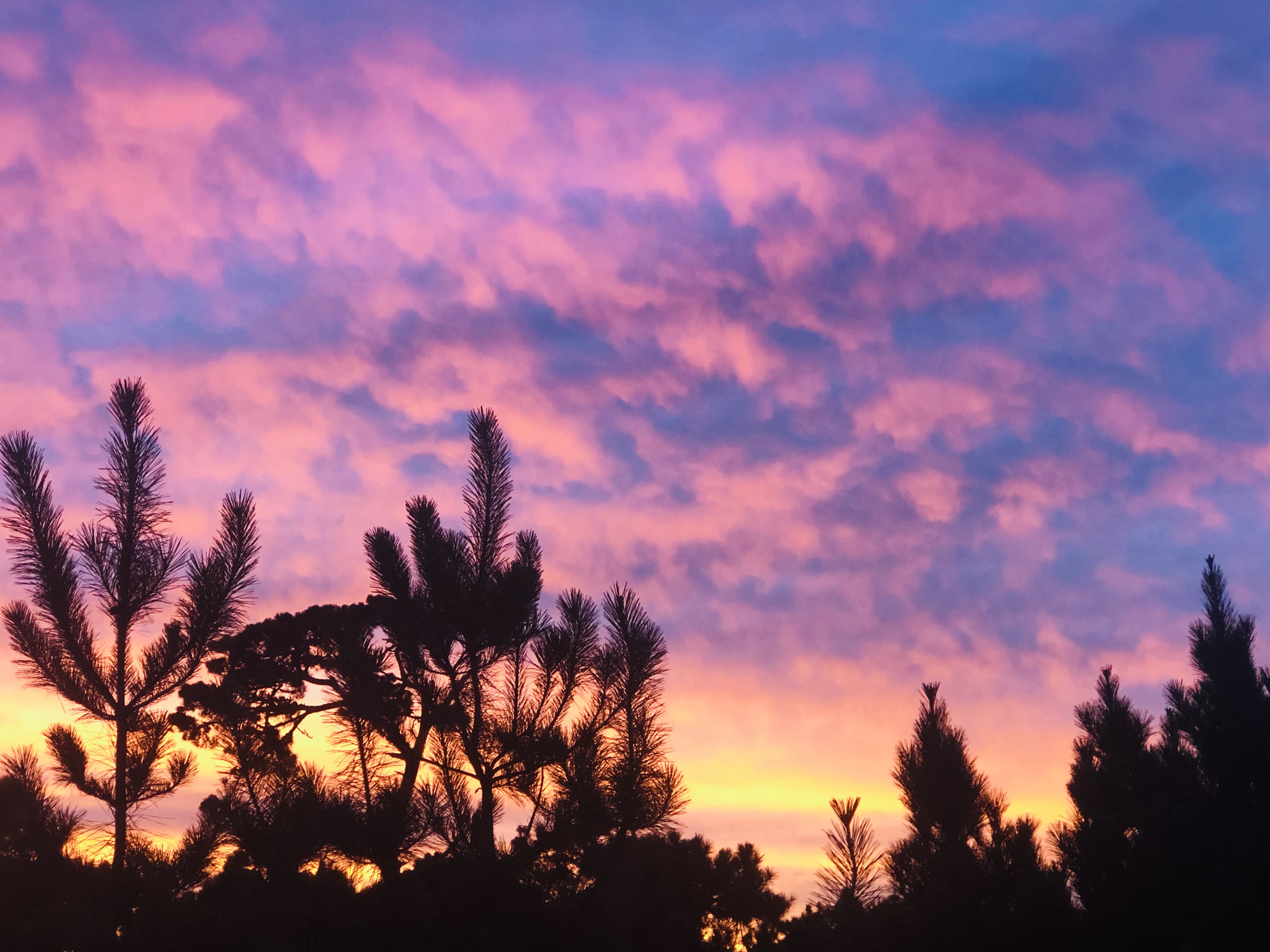 D08F5C38-95B4-4526-ADD0-684846AF008E_1_201_a