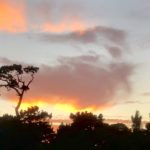 D24237C6-74EF-4DF5-90CC-3DCE46EDEBAE_1_201_a